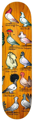 Antihero Pfanner Show Pigeons Deck - 8.06