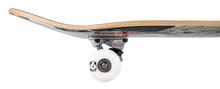Load image into Gallery viewer, Bird Hawk Falcon III Stage 1 Complete Skateboard - 7.75&quot;