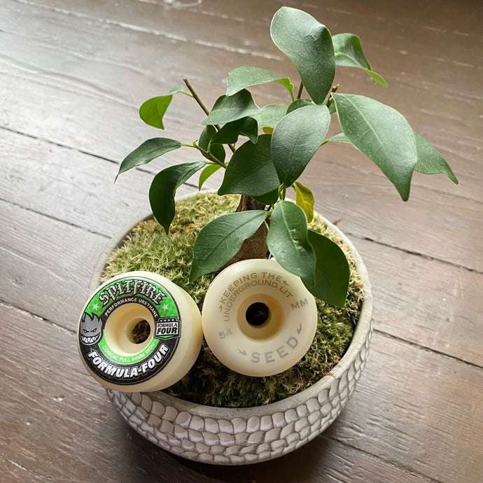 Spitfire x Seed Formula Four Conical Full 99d Wheels - 54mm