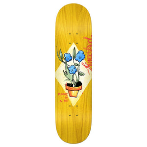 Krooked Knox Blue Flower Deck - 8.5"