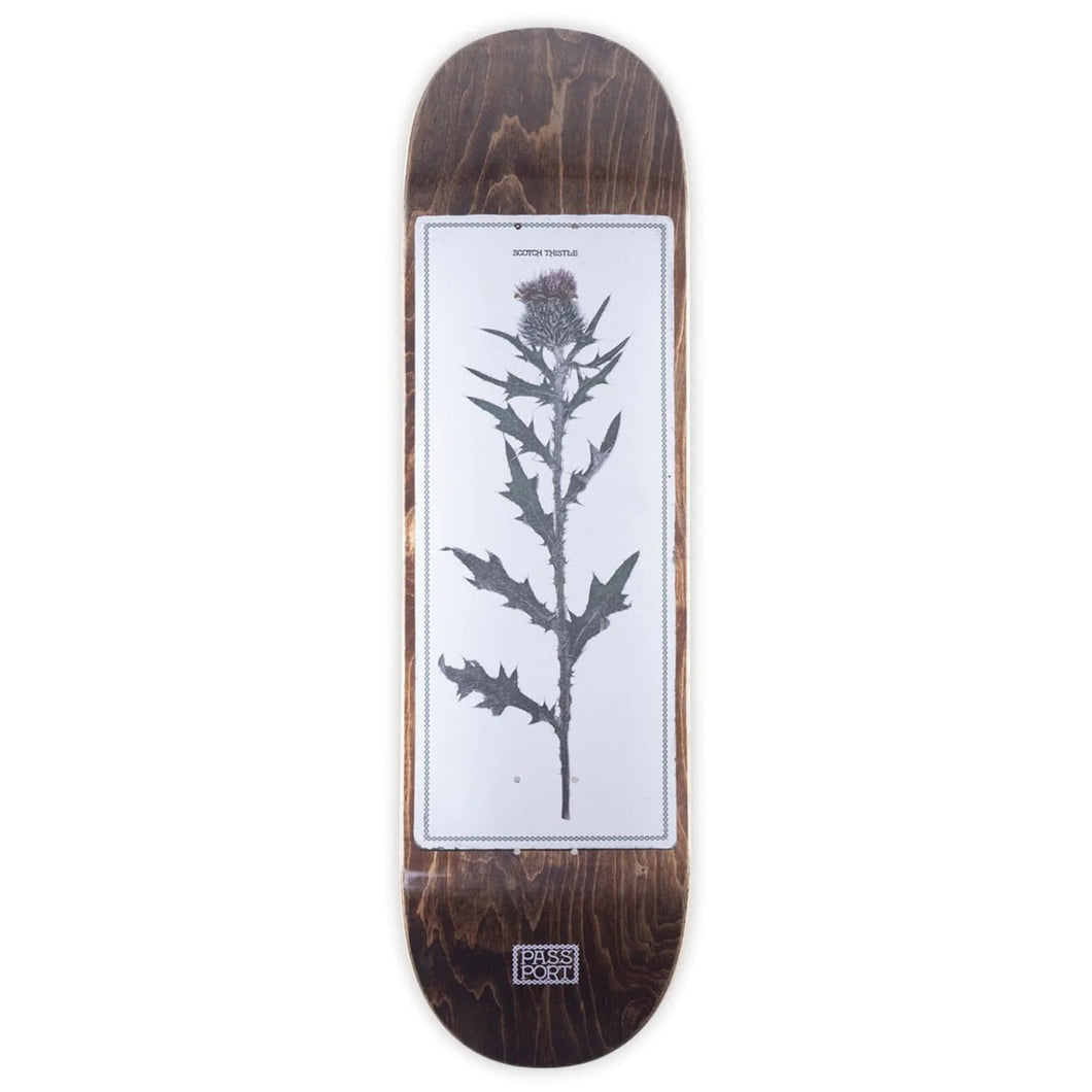 Pass~Port Scotch Thistle Deck - 8.25