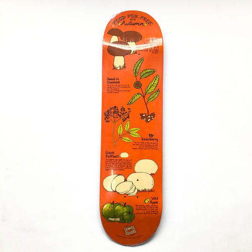 Drawing Boards Autumn Deck - 8.25