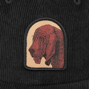 Pass~Port Bloodhound 5 Panel Cap - Black