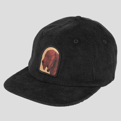 Pass~Port Bloodhound 5 Panel Cap - Black