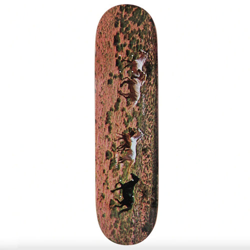 Sci-Fi Fantasy Ryan Lay Deck - 8.5