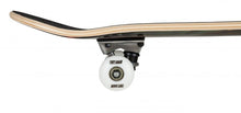 Load image into Gallery viewer, Tony Hawk Signature Series Roar Complete - 7.75&quot;