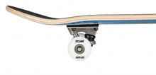 Load image into Gallery viewer, Tony Hawk Signature Series Wingspan Complete - 8.0&quot;
