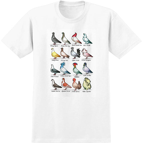 Antihero Show Pigeons Tee - White